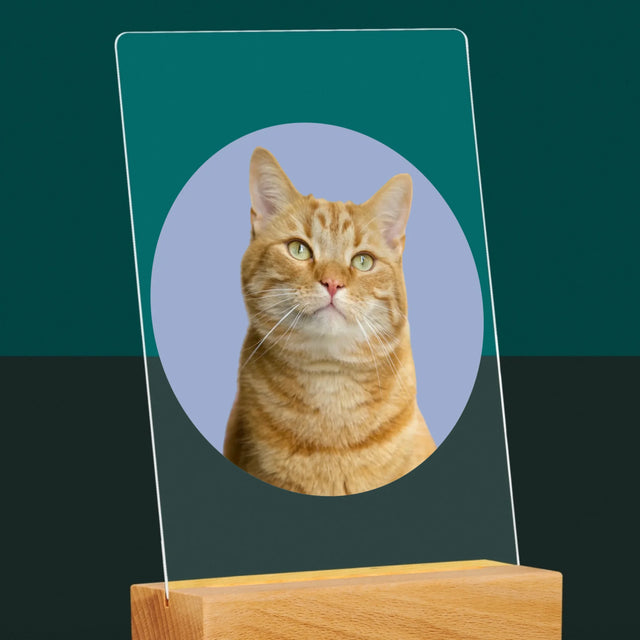 Photo: Ton Chat - Impression Sur Verre Acrylique
