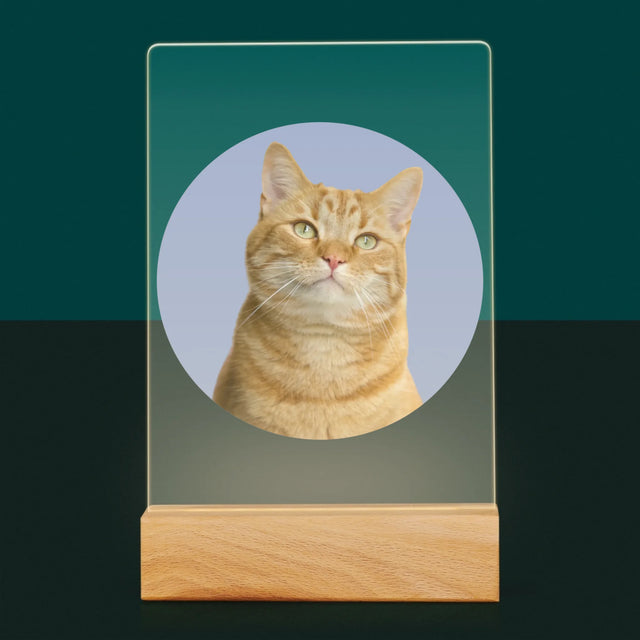 Photo: Ton Chat - Impression Sur Verre Acrylique