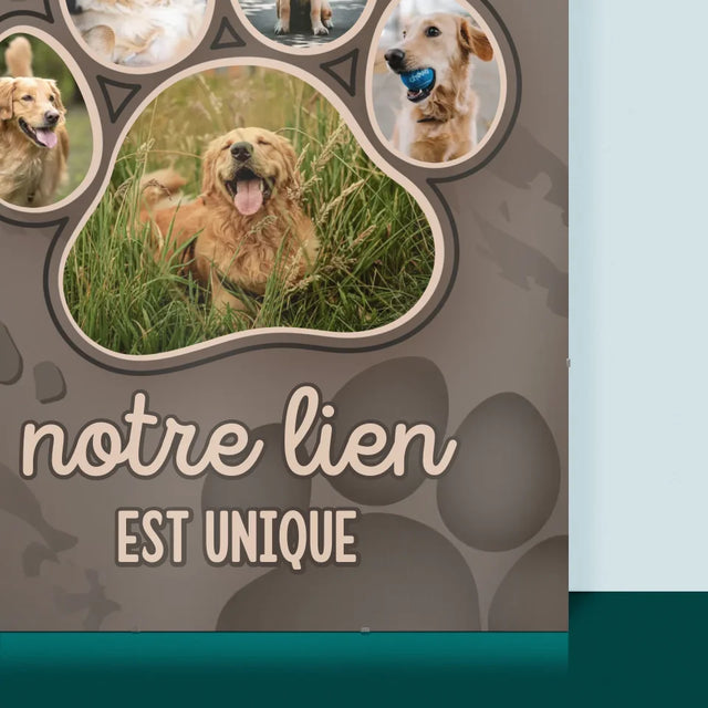 Forme Des Photos: Empreinte De Patte - Affiche