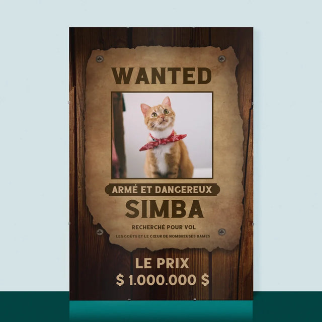 Photo Et Texte: Recherché - Un Animal - Affiche