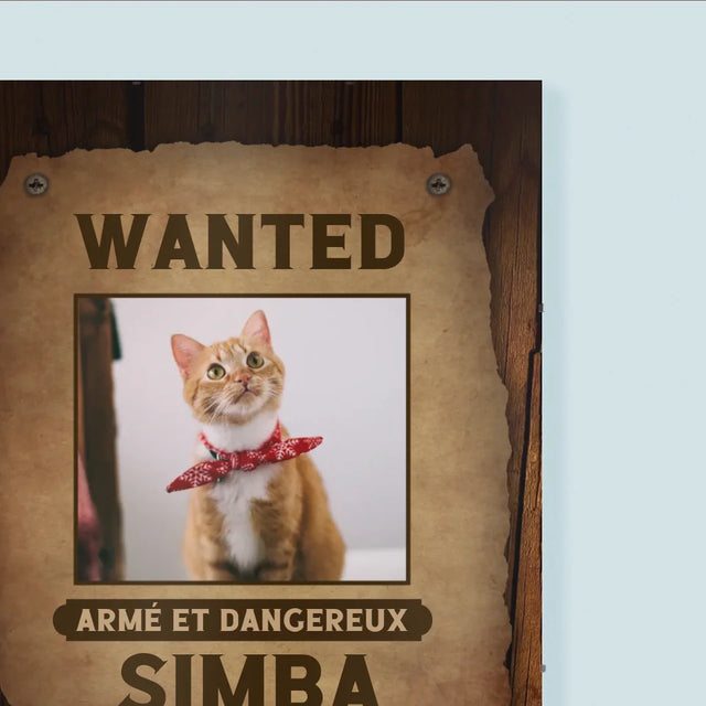 Photo Et Texte: Recherché - Un Animal - Affiche