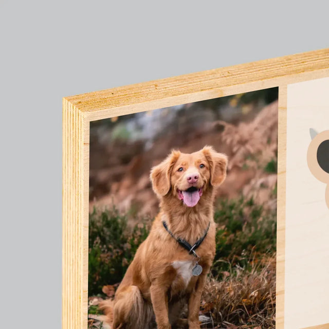 Collage Photo: Le Meilleur Chien - Impression Sur Bois