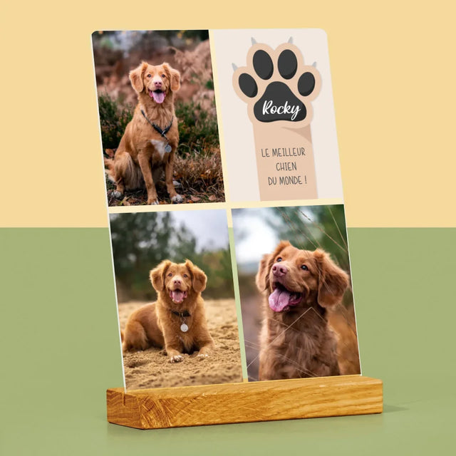Collage Photo: Le Meilleur Chien - Impression Sur Verre Acrylique