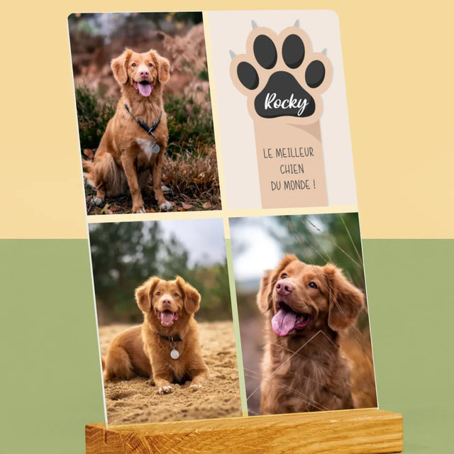 Collage Photo: Le Meilleur Chien - Impression Sur Verre Acrylique