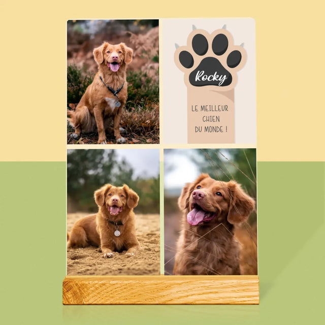 Collage Photo: Le Meilleur Chien - Impression Sur Verre Acrylique