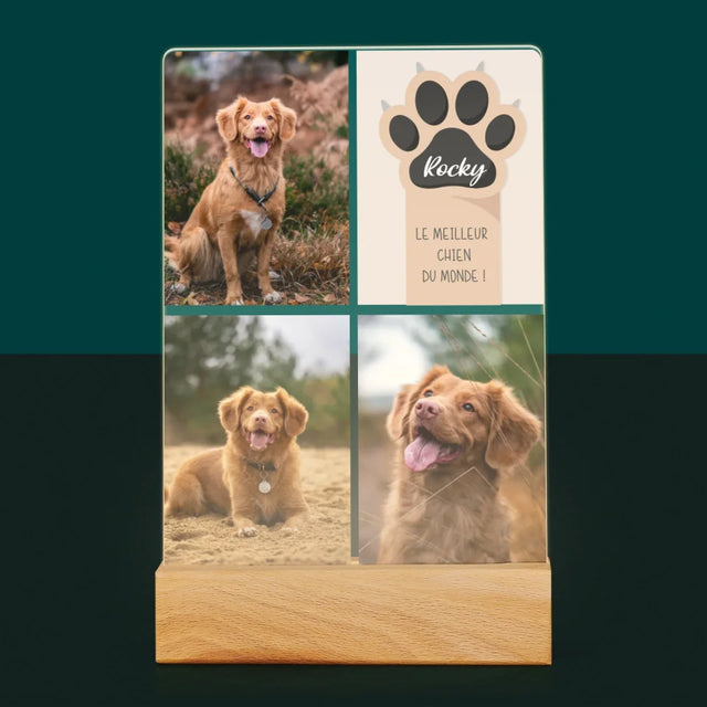 Collage Photo: Le Meilleur Chien - Impression Sur Verre Acrylique