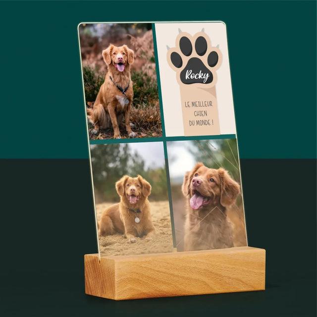 Collage Photo: Le Meilleur Chien - Impression Sur Verre Acrylique