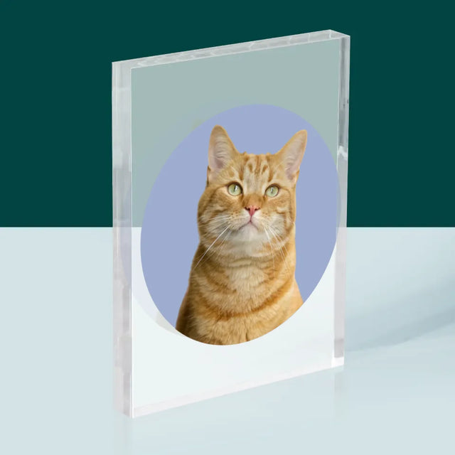 Photo: Ton Chat - Bloc Acrylique