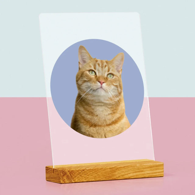 Photo: Ton Chat - Impression Sur Verre Acrylique