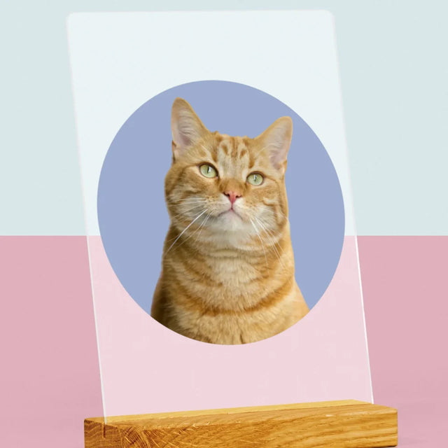 Photo: Ton Chat - Impression Sur Verre Acrylique