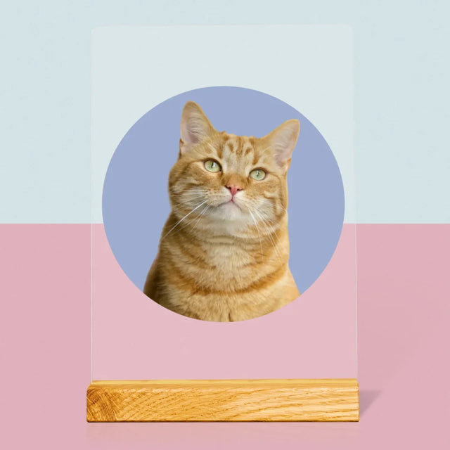 Photo: Ton Chat - Impression Sur Verre Acrylique