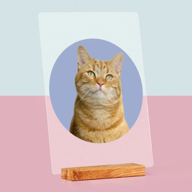 Photo: Ton Chat - Impression Sur Verre Acrylique