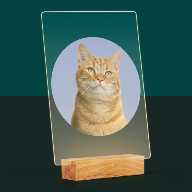Photo: Ton Chat - Impression Sur Verre Acrylique