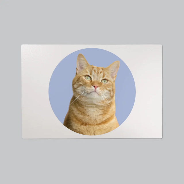 Photo: Ton Chat - Sous-Main Bureau