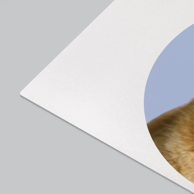 Photo: Ton Chat - Sous-Main Bureau