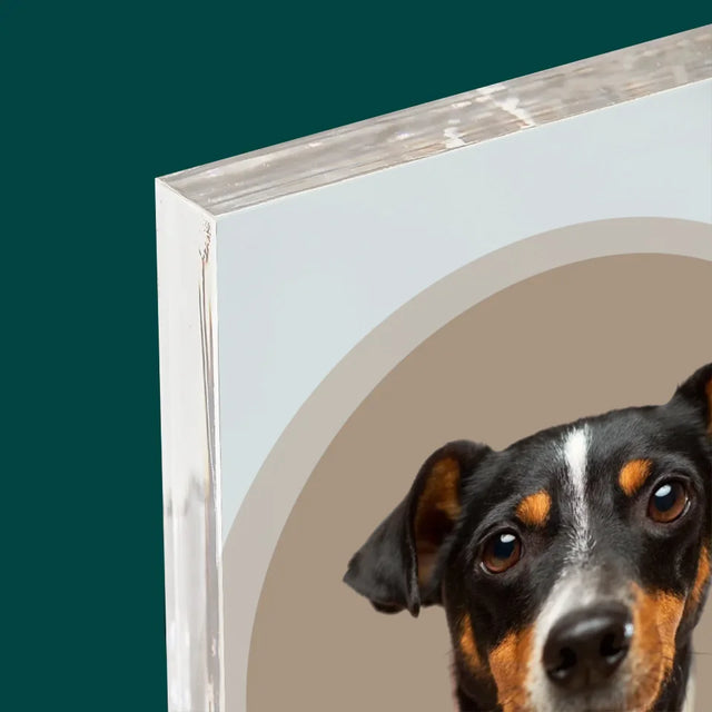 Photo: Ton Chien - Bloc Acrylique