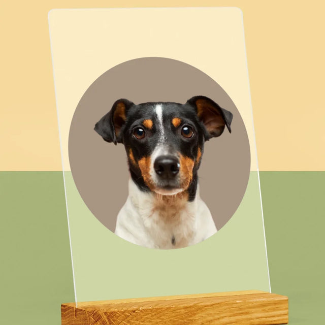 Photo: Ton Chien - Impression Sur Verre Acrylique