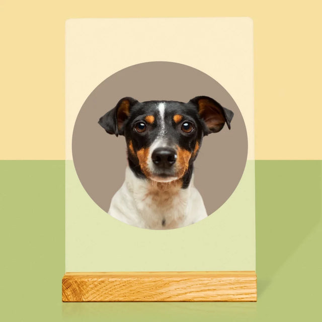 Photo: Ton Chien - Impression Sur Verre Acrylique