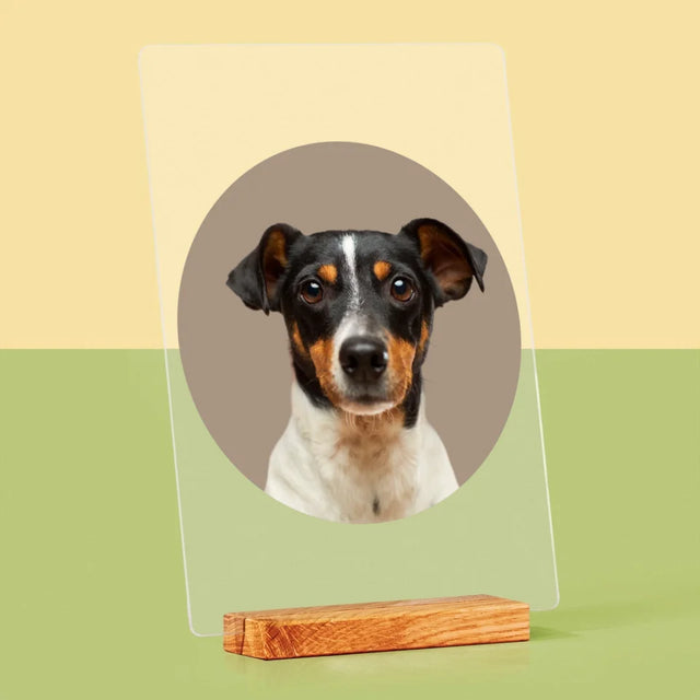 Photo: Ton Chien - Impression Sur Verre Acrylique