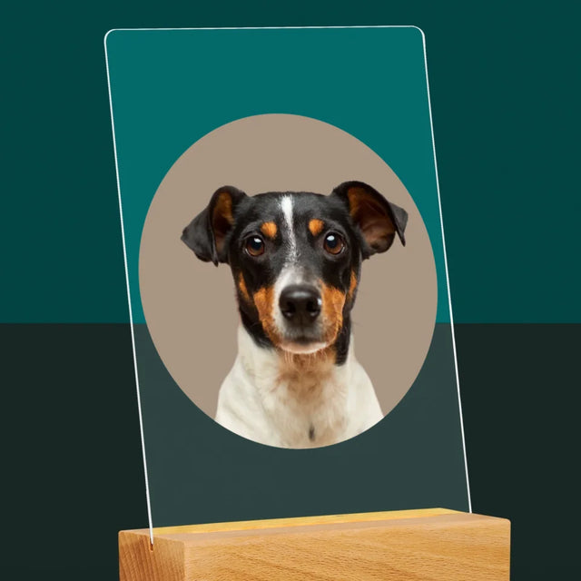 Photo: Ton Chien - Impression Sur Verre Acrylique