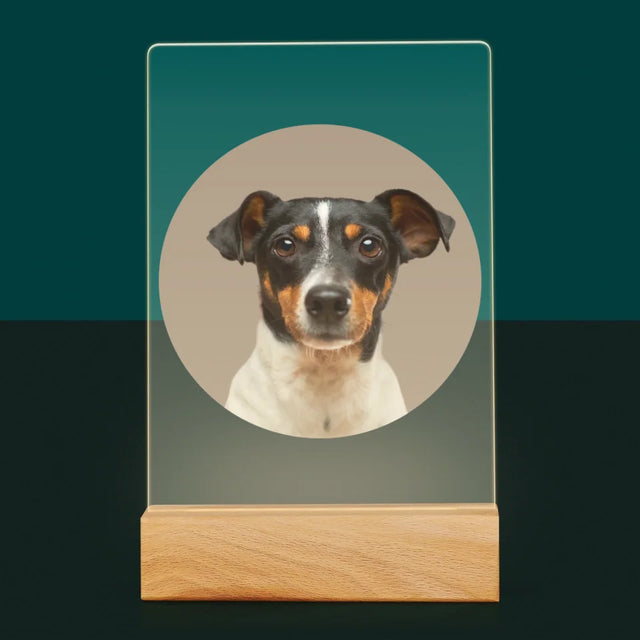 Photo: Ton Chien - Impression Sur Verre Acrylique