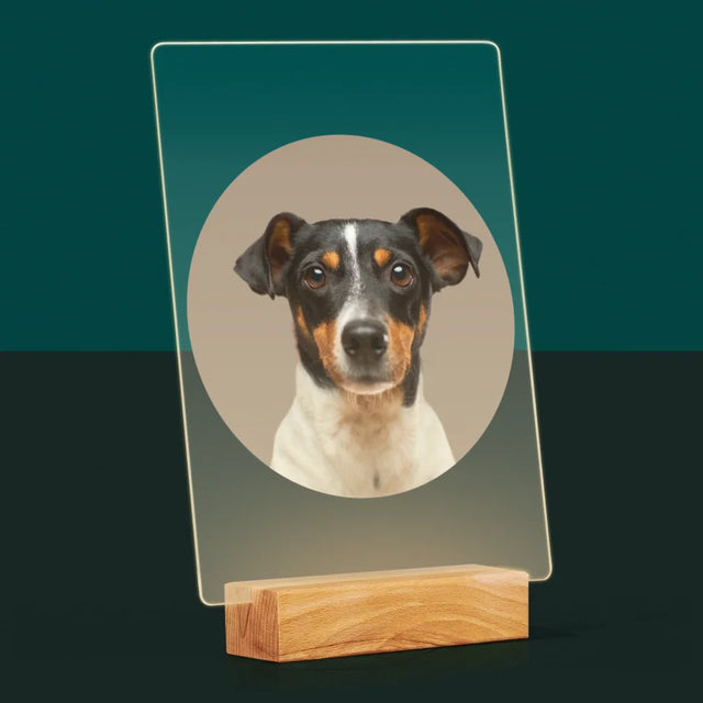 Photo: Ton Chien - Impression Sur Verre Acrylique