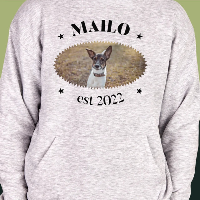 La Photo Et Un Texte: Chien Established - Sweat À Capuche Pour Hommes