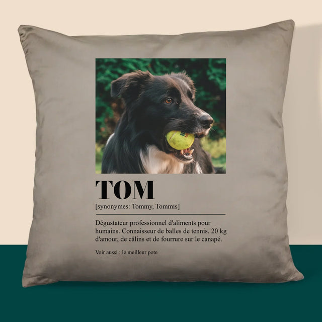 La Photo Et Un Texte: Animal, Définition - Coussin 