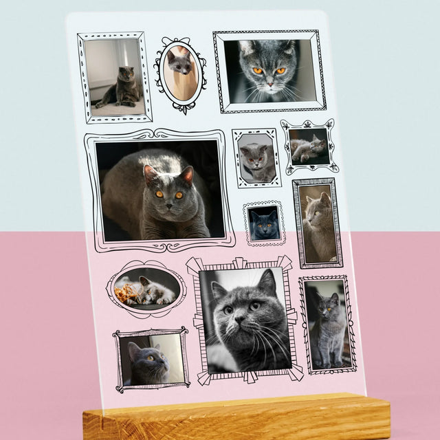 Le Collage Photo: Un Mur D'Exposition Avec Un Animal - Impression Sur Verre Acrylique 