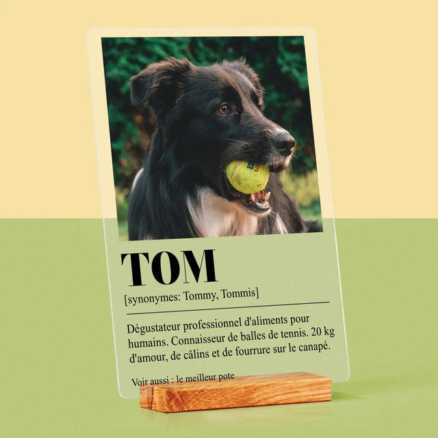 La Photo Et Un Texte: Animal, Définition - Impression Sur Verre Acrylique 