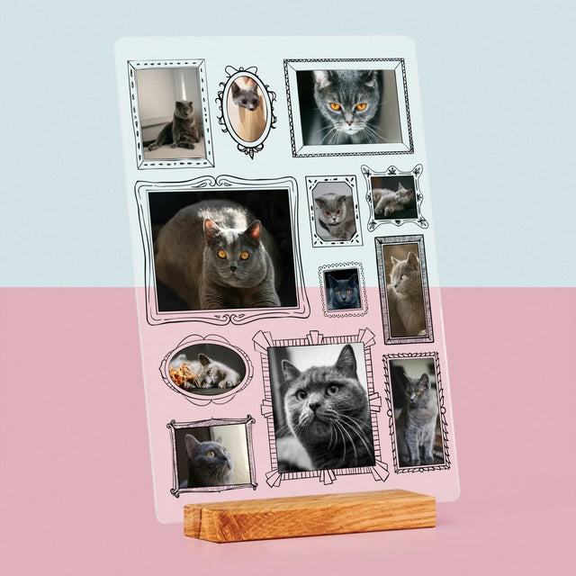 Le Collage Photo: Un Mur D'Exposition Avec Un Animal - Impression Sur Verre Acrylique 