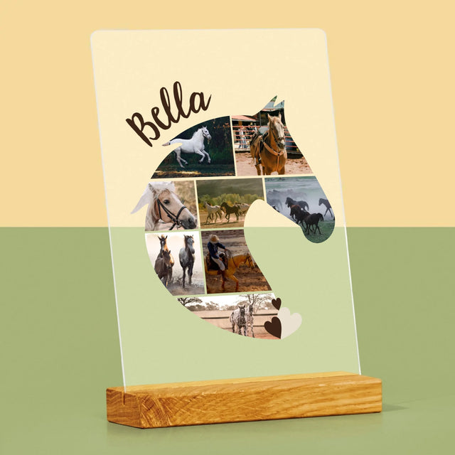 Forme Des Photos: Cheval - Impression Sur Verre Acrylique 