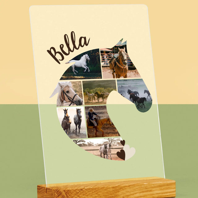 Forme Des Photos: Cheval - Impression Sur Verre Acrylique 