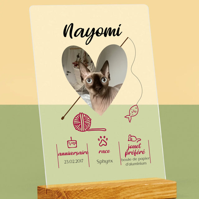 La Photo Et Un Texte: Chat Métrique - Impression Sur Verre Acrylique 