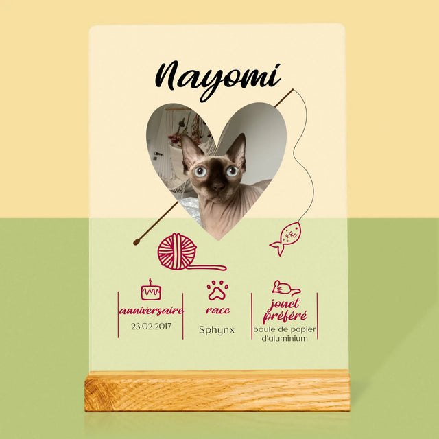 La Photo Et Un Texte: Chat Métrique - Impression Sur Verre Acrylique 