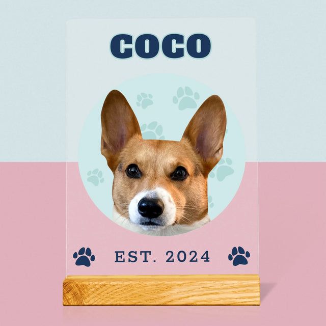 Ton Personnage: Ton Chien Varsity - Impression Sur Verre Acrylique 