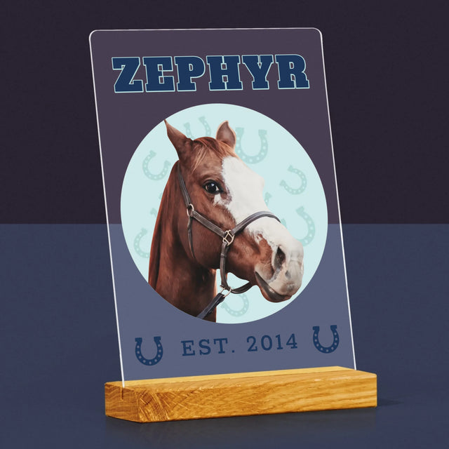 Ton Personnage: Ton Cheval Varsity - Impression Sur Verre Acrylique 