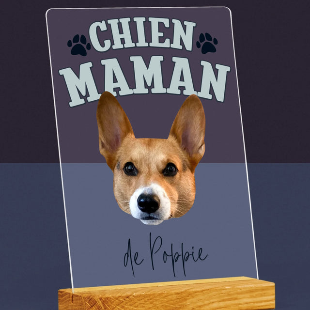 Ton Personnage: Chien Maman - Impression Sur Verre Acrylique 