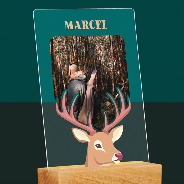 La Photo Et Un Texte: Le Cerf - Impression Sur Verre Acrylique 