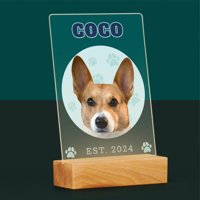 Ton Personnage: Ton Chien Varsity - Impression Sur Verre Acrylique 