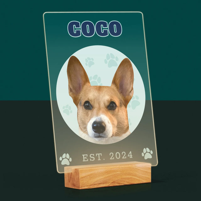 Ton Personnage: Ton Chien Varsity - Impression Sur Verre Acrylique 