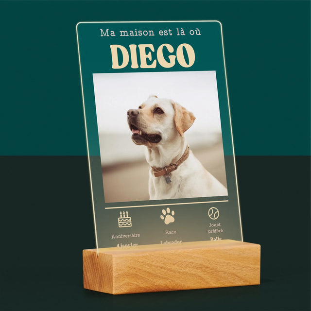 La Photo Et Un Texte: Métrique, Animal - Impression Sur Verre Acrylique 