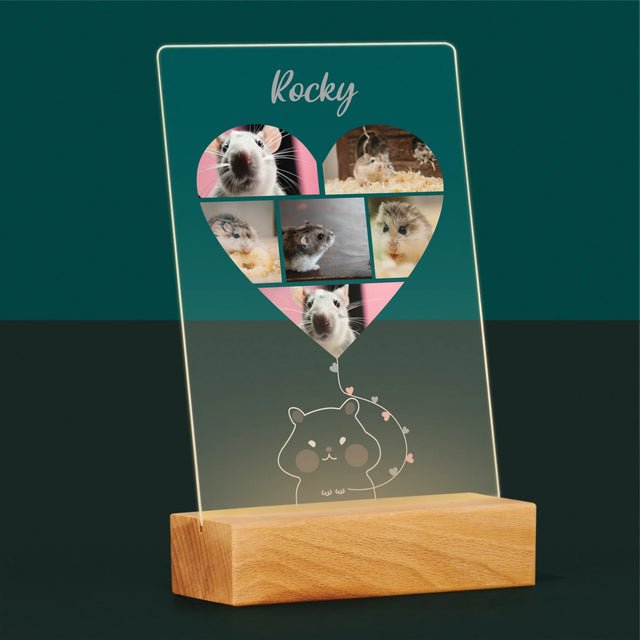 Le Collage Photo: Hamster - Impression Sur Verre Acrylique 