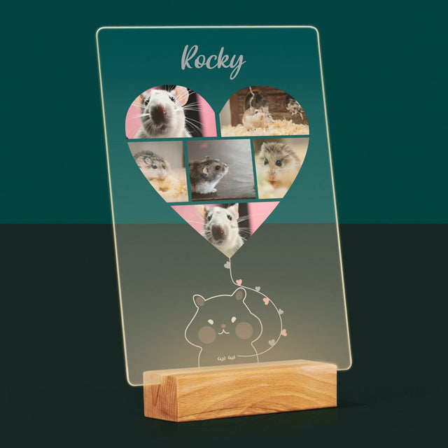 Le Collage Photo: Hamster - Impression Sur Verre Acrylique 