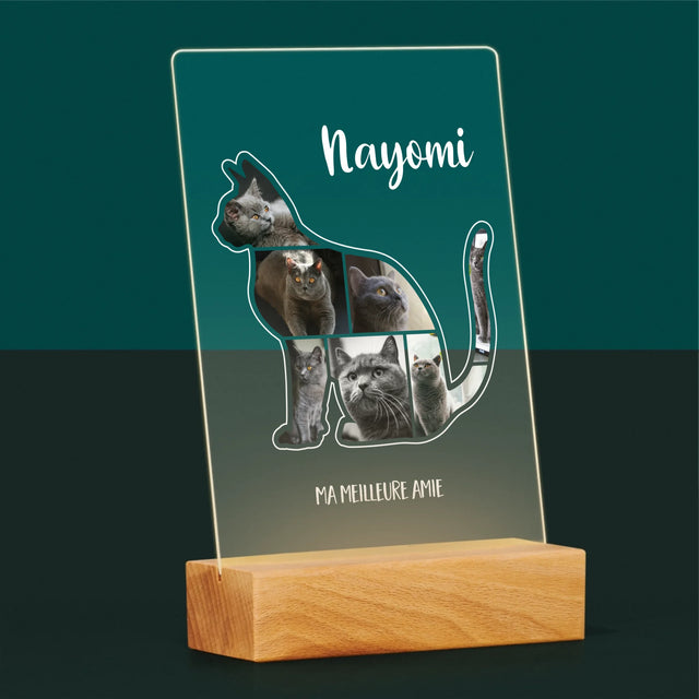 Forme Des Photos: Chat Le Meilleur Ami - Impression Sur Verre Acrylique 
