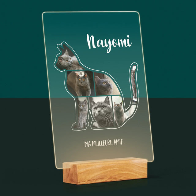 Forme Des Photos: Chat Le Meilleur Ami - Impression Sur Verre Acrylique 
