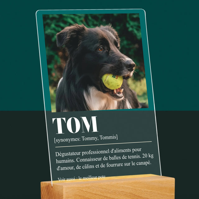 La Photo Et Un Texte: Animal, Définition - Impression Sur Verre Acrylique 