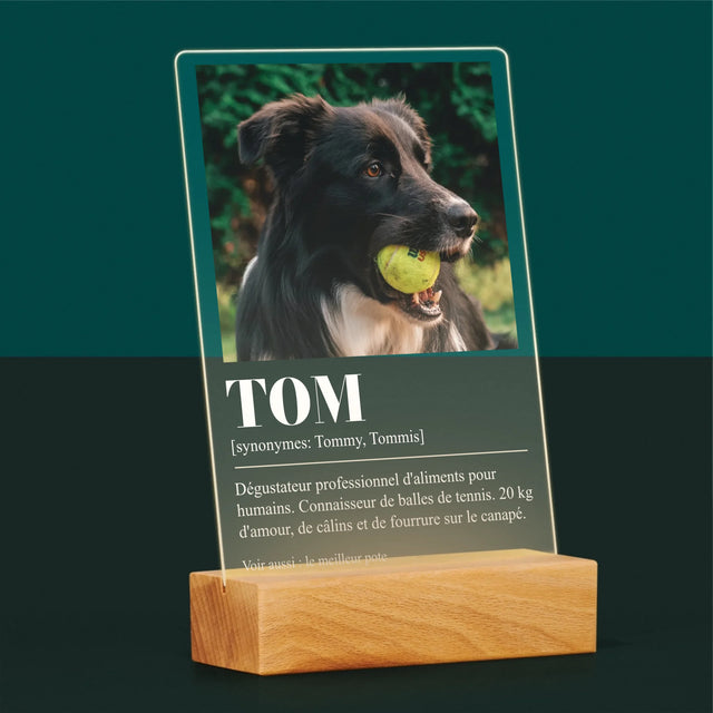 La Photo Et Un Texte: Animal, Définition - Impression Sur Verre Acrylique 