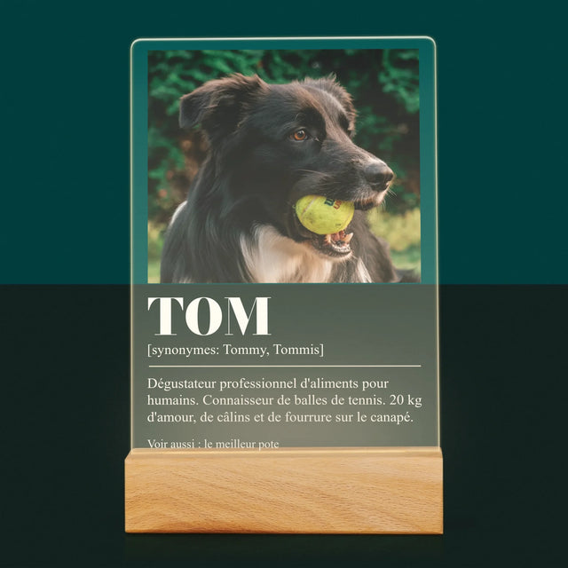 La Photo Et Un Texte: Animal, Définition - Impression Sur Verre Acrylique 