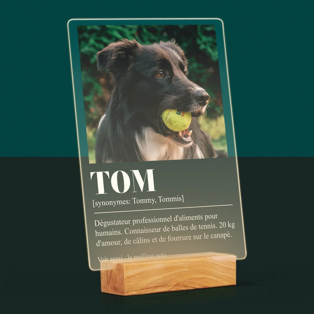 La Photo Et Un Texte: Animal, Définition - Impression Sur Verre Acrylique 